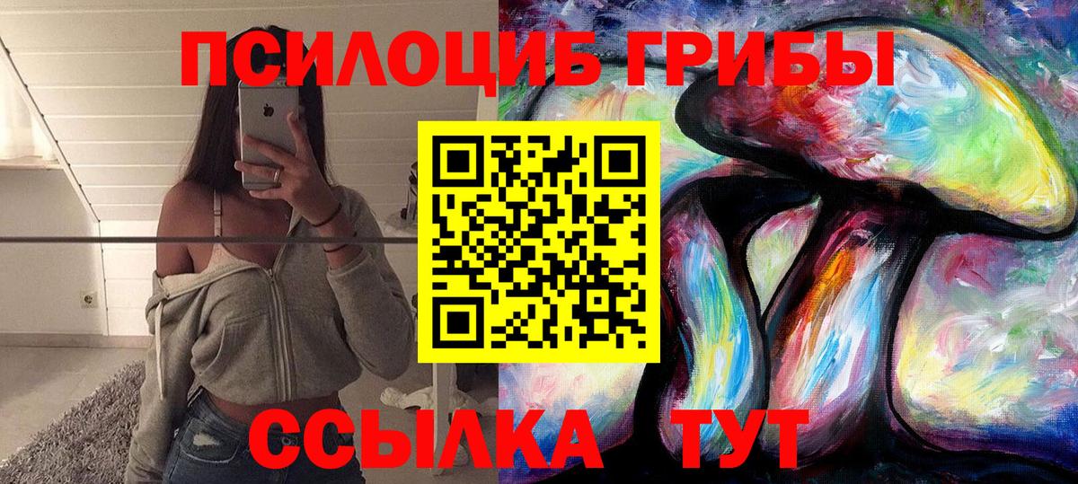 Гусев  Галлюциногенные грибы прущие грибы  Вход с VPN 